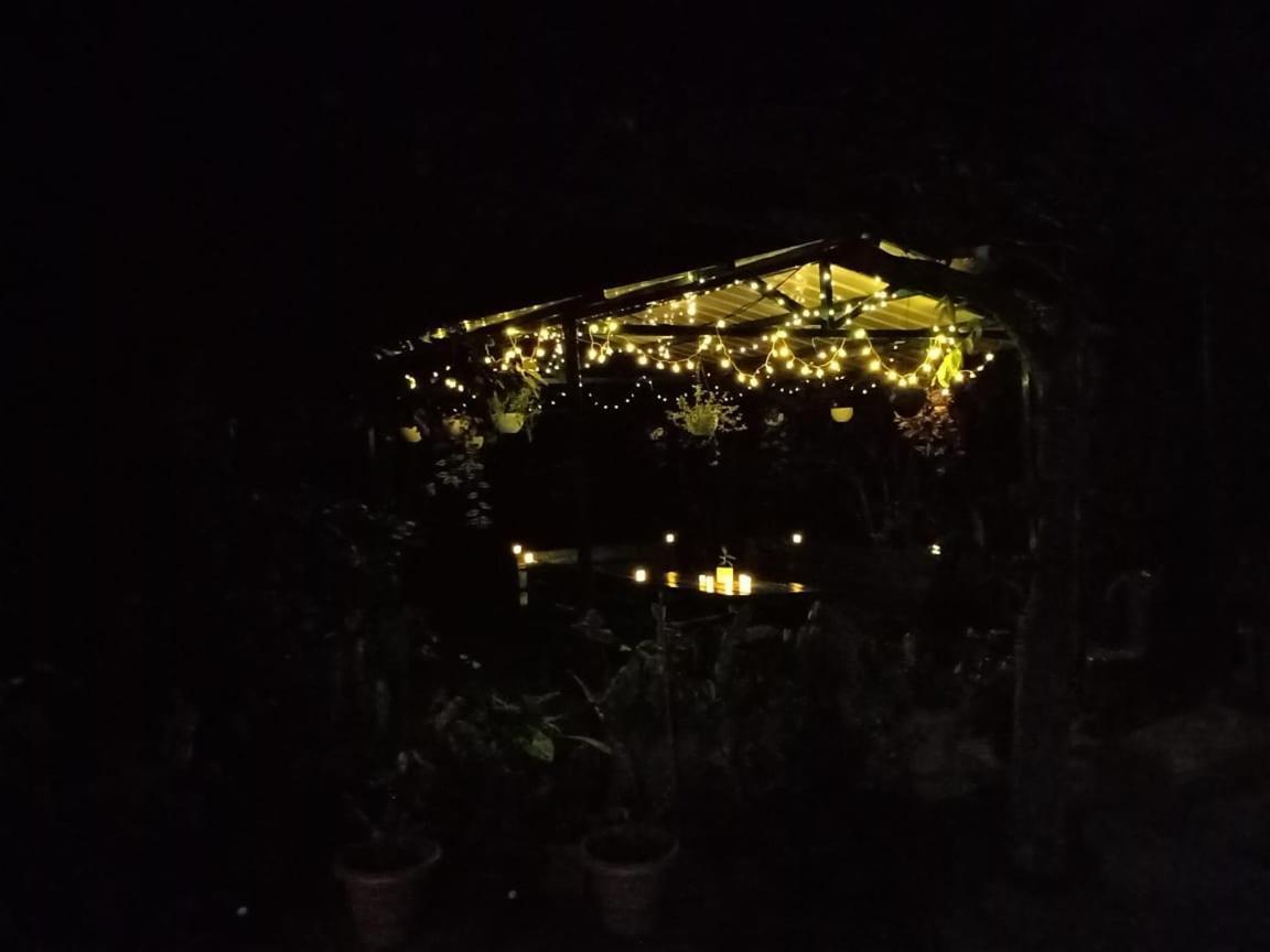 Silver Spruce Entire Nature Villa Kotagiri Exterior foto