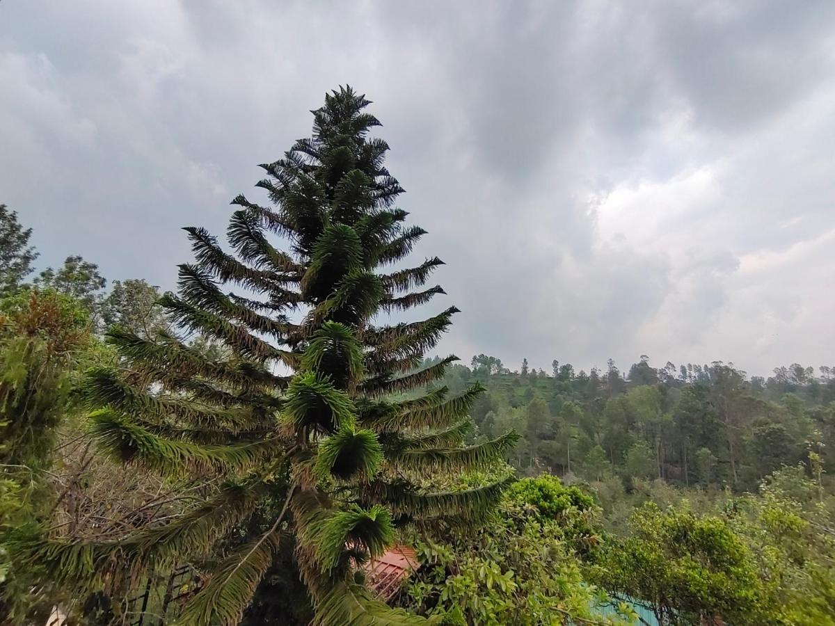 Silver Spruce Entire Nature Villa Kotagiri Exterior foto