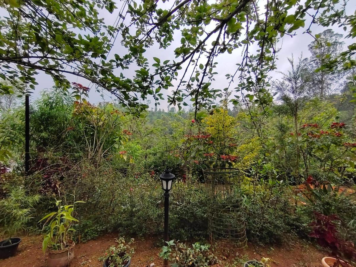 Silver Spruce Entire Nature Villa Kotagiri Exterior foto