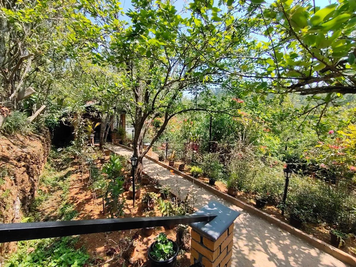 Silver Spruce Entire Nature Villa Kotagiri Exterior foto
