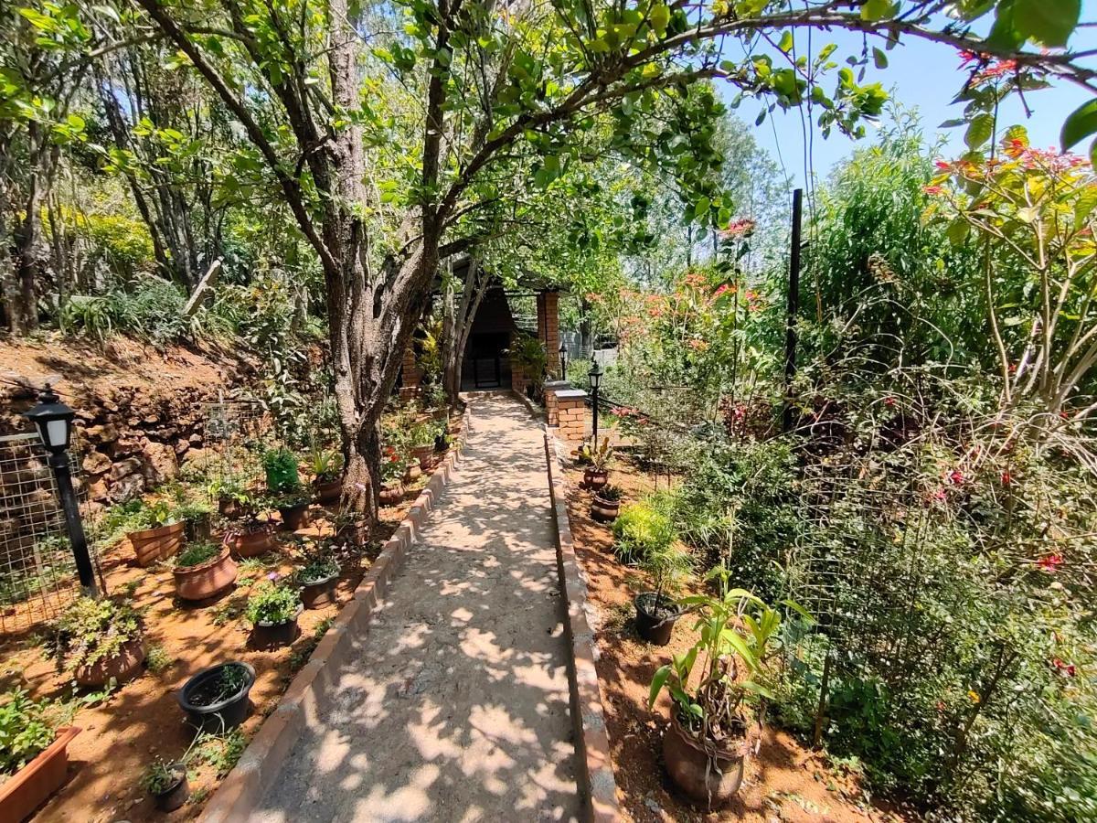 Silver Spruce Entire Nature Villa Kotagiri Exterior foto